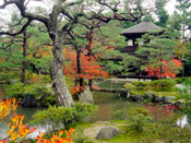 Kyoto ve Nara