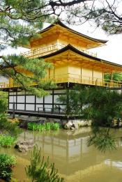 Kinkakuji Tapınağı Japon Bahçesi
