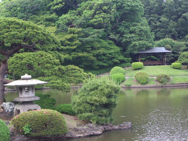 shinjuku gyouen japon bahçesi