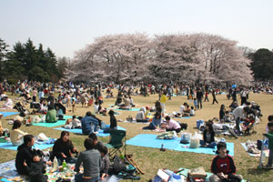Hanami